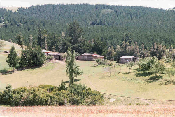 Mapuche Photos